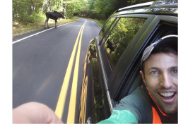 Assistant Professor Rem Moll spots his first moose in Barlett Experimental Forest
