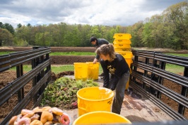 Students working with compost in the bed of a truck