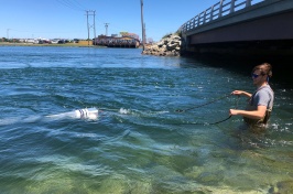 A man stands in a body of water dragging a net behind him to collect microplastic particles.