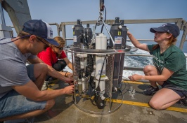 UNH students take water quality samples in the Gulf of Maine from aboard a boat.