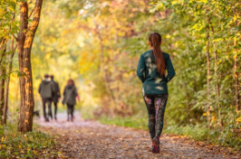 Stock photo of people walking on a trail alongside woods in fall