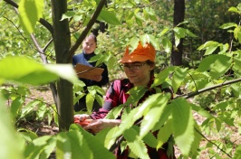 In the foreground, a woman looks at a tree up close. In the background, a woman looks at a clipboard with notes.