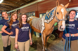 students witn horse skeletal demonstration