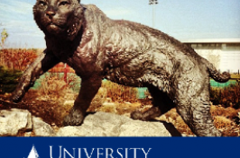 cat sculpture on unh webpage