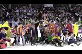 Fans Give Playoff-Bound Hockey Team a Harlem Shake Tribute 