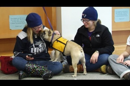 Library Study Buddies