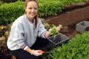 emily mckeen cutting lettuce from garden