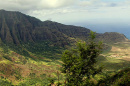 Hawaiin mountains and ocean