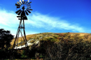 winning image of windmill