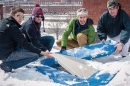 students and researchers measuring rooftop snow