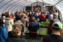 local farmers in UNH winter greenhouse with lettuce