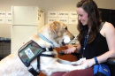 UNH alumna Jennifer Blessing working with a service dog in training
