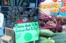 girl with donated food