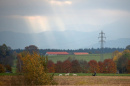 A man walks his dog through farmland in a field near Holzkirchen, in the south of Germany. A man walks his dog through farmland in a field near Holzkirchen, in the south of Germany.