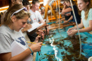 Students look at items in a tank at UNH's Shoals Marine Lab.