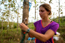 UNH grad student Katherine Sinacore studying tropical trees