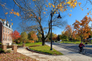 UNH student biking down Main Street in Durham