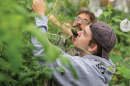 UNH students working with plants in the greenhouses
