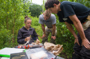 UNH students conducting research in a shrubby area 