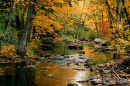 river in autumn