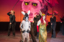 image from dress rehearsal for Shrek the musical at University of New Hampshire