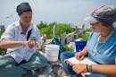 UNH researcher Liz Craig is leading a research team on White Island and Seavey Island to look at the only Tern colony in New Hampshire