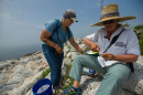 UNH researcher Liz Craig is leading a research team on White Island and Seavey Island to look at the only Tern colony in New Hampshire