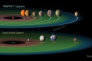 The TRAPPIST-1 system contains a total of seven planets, all around the size of Earth. Three of them -- TRAPPIST-1e, f and g -- dwell in their star's so-called "habitable zone" (shown here in green). NASA/JPL-CALTECH