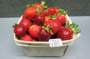 a quart of organic seed harvest strawberries