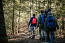 Students hiking in UNH's College Woods