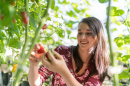 A UNH student in a greenhouse