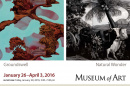 exhibition postcard detail