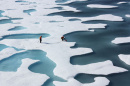Two members of NASA’s ICESCAPE mission, a shipborne investigation researching how changing Arctic conditions affect the ocean’s chemistry and ecosystems. (Photo: NASA/Kathryn Hansen, Flickr CC BY 2.0)
