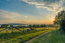 image of rural land