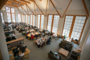 Students studying in UNH main library