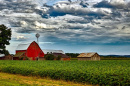 image of farm