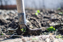 image of a shovel