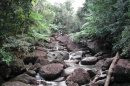 Stream in Puerto Rico