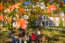 image of fall leaves at UNH
