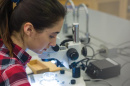 A UNH student in a laboratory, working