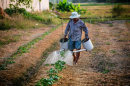 image of farmer