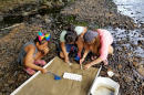 UNH Manchester Summer Program Combines English Learning with STEM Skills