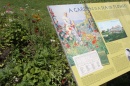 Sign shwoing the layout of Celia Thaxter's garden.