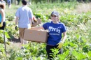 Volunteering in Manchester