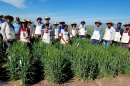 Agriculture