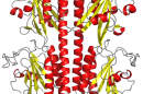 The PDE6 crystal structure used for the research.