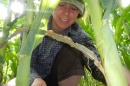 Lesley Atwood collecting samples
