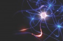 Image of neurons lit up on dark background
