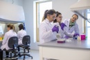 Women studying biotechnology in the UNH Manchester biotechnology innovation center