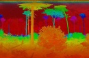 Terrestrial LiDAR